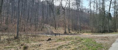 Dolina Grzybowska, parking ↔ Źródło w Dolinie Grzybowskiej [Dolina Grzybowska]