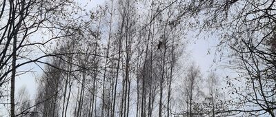 Grzybów [Rozejście szlaków w Grzybowie]