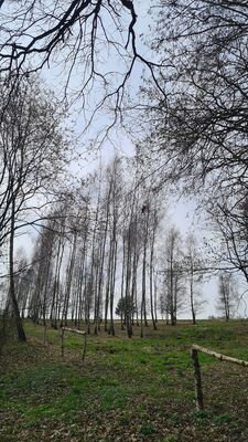 Rozejście szlaków w Grzybowie