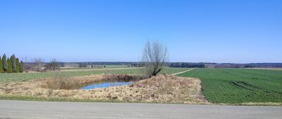 Barycz ↔ Sycyna [rolniczy krajobraz Równiny Radomskiej]