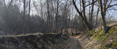 Góry