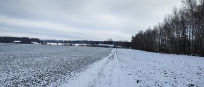 Dylążki ↔ Zalesie