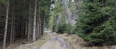 Skrzyżowanie pod Okolem ↔ Skrzyżowanie pod Okolem