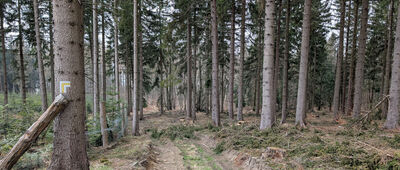 Skrzyżowanie pod Okolem