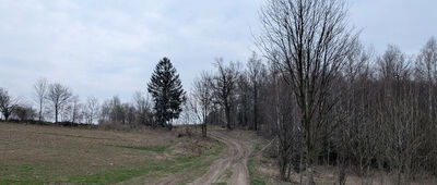 Pod Rogatką ↔ Rząśnicka Przełęcz