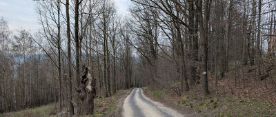 Pod Tarczynką ↔ Wleń, Gościradz