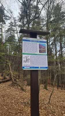 Tablica informacyjna na skale Krzywy Sąd