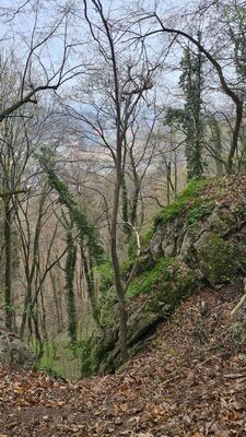 Skały wzdłuż szlaku spacerowo-edukacyjnego Dolina Aleksandrowicka