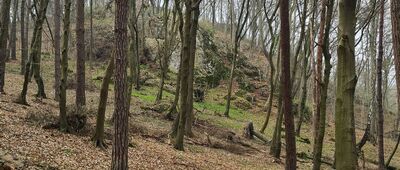 Odejście ścieżki spacerowej [Szlak spacerowo-edukacyjny Dolina Aleksandrowicka]