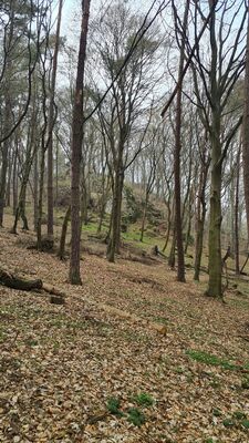 Szlak spacerowo-edukacyjny Dolina Aleksandrowicka