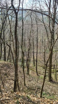 Szlak Droga Krzyżowa Dolina Aleksandrowicka