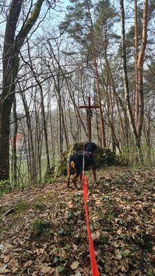 Szlak Droga Krzyżowa Dolina Aleksandrowicka