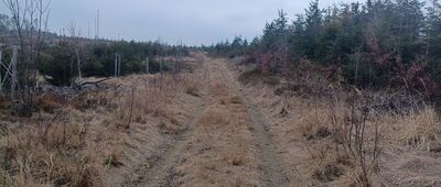 Pramen Osoblahy ↔ Hraniční cesta, rozc.