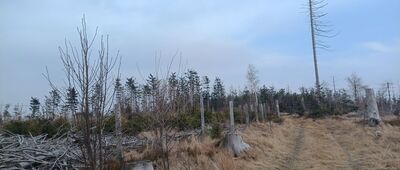 Hraniční cesta, rozc.