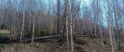 Gwarkowa Perć ↔ Ścieżka Langego