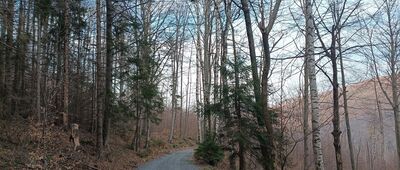 Ścieżka Langego ↔ Górski Dom Turysty Pod Biskupią Kopą