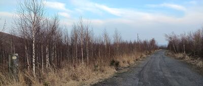 Górski Dom Turysty Pod Biskupią Kopą ↔ Przełęcz pod Kopą