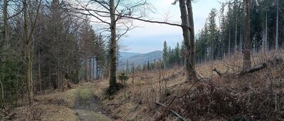 Hähnelovo rozcestí ↔ Ruiny schroniska Rudolfsheim