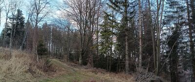 Hähnelovo rozcestí