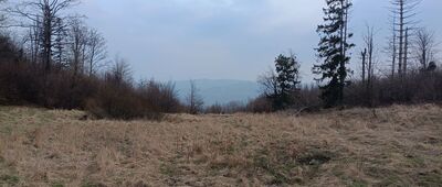 Kraví hor,  rozc. ↔ Jivina, okraj lesa