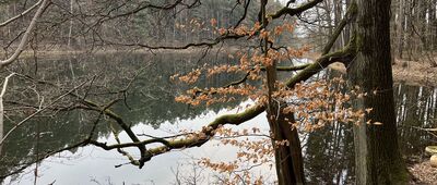 Olsztyn, ul. Bałtycka ↔ Rozejście szlaków