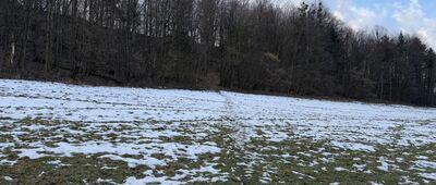 Dawne schronisko PTTK Pod Tułem ↔ Cisownica