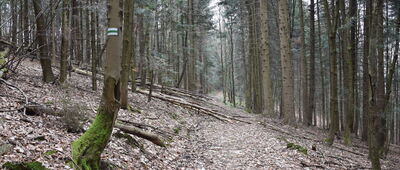 Styr Pd. ↔ Pod Styrem