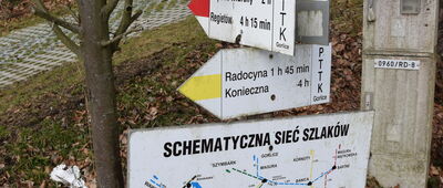 Wołowiec