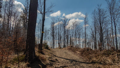 Przykra 818 m n.p.m.