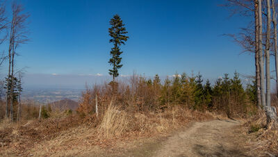 Widok z Przykrej 818 m n.p.m.