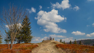 Błatnia 917 m n.p.m.