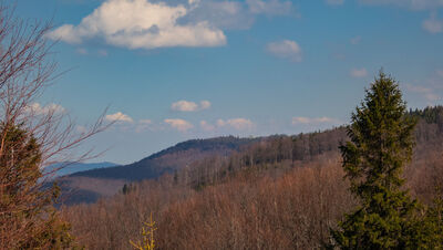 Widok z Błatniej na Szyndzielnię