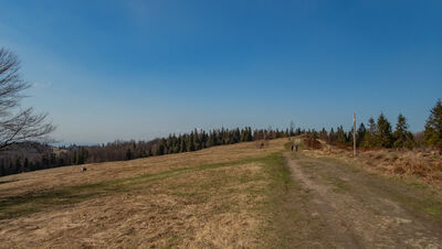 Widok na Błatnią