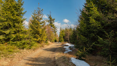 Szlak w okolicy Stołowa