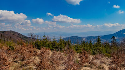 Widok na Babią Górę z Trzech Kopców