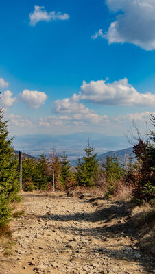 Szlak pod Trzema Kopcami