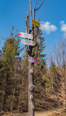 Szyndzielnia 1026 m n.p.m.