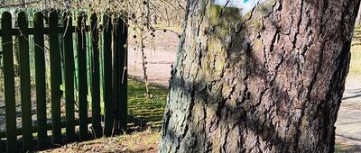 Leśniczówka Żmijowiec [węzeł szlaków: szlak pętla zielona "śladami granicy wersalskiej", początek szlaku pieszego niebieskiego Żmijowiec-Kaplin, szlak pieszy żółty Wierzbno-Człopa]