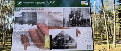 Rozejście szlaków [szlak pętla zielona i pętla czerwona "śladami granicy wersalskiej" (tablica 8)]