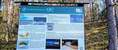 Piłka ↔ Drzewce [szlak pętla zielona "śladami granicy wersalskiej" (tablica 3)]