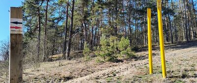 Piłka [węzeł szlaków: szlak pętla zielona i pętla czerwona "śladami granicy wersalskiej"]