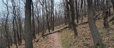 Pod Wieżycą ↔ Pod Wieżycą