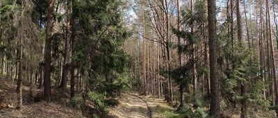 Pod Oleszenką ↔ Przełęcz Słupicka