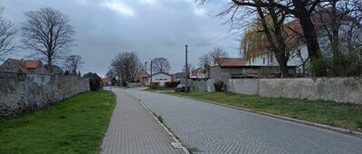 Oleszna