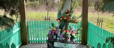 Tarnobrzeg, Las Zwierzyniec