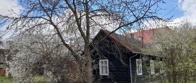 Tarnobrzeg, Las Zwierzyniec ↔ Mokrzyszów