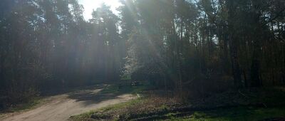 Ścieżka nad Jezioro Grodzieńskie