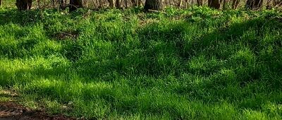 Grodno ↔ Ścieżka nad Jezioro Grodzieńskie