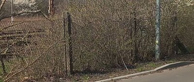 Kończewice-Ogrodniki ↔ Chełmża, dworzec kolejowy