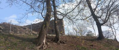 Storlus ↔ Papowo Biskupie, cmentarz